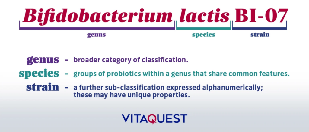 Exemple de classification des probiotiques